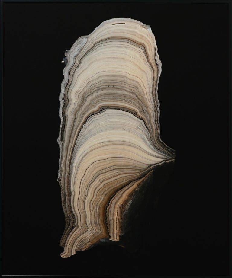 Gld-stm2, Grotte de Gueldaman, Algérie - GENTY Dominique