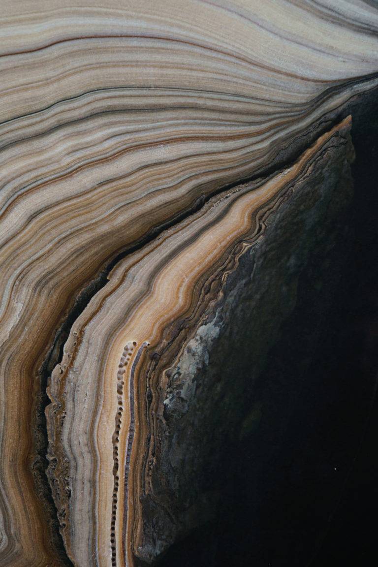 Gld-stm2, Grotte de Gueldaman, Algérie - GENTY Dominique