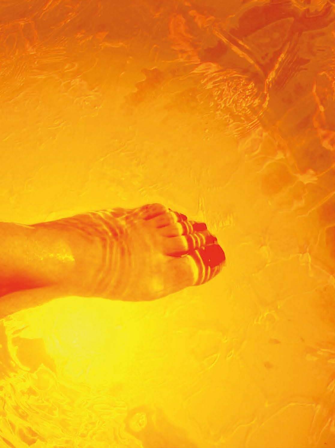 Délicatesse, 2015 - MARTINEZ Rodolphe