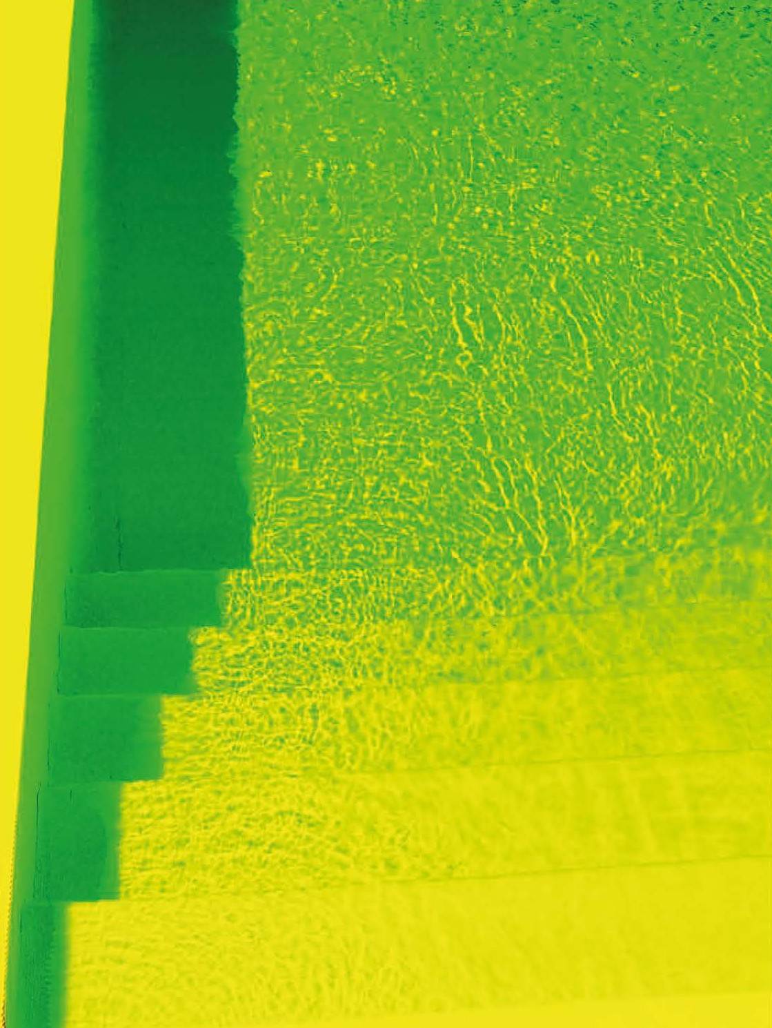 L'eau verte, 2015 - MARTINEZ Rodolphe