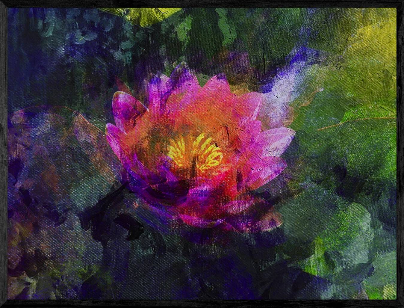 Lotus rose - MARTINEZ Rodolphe