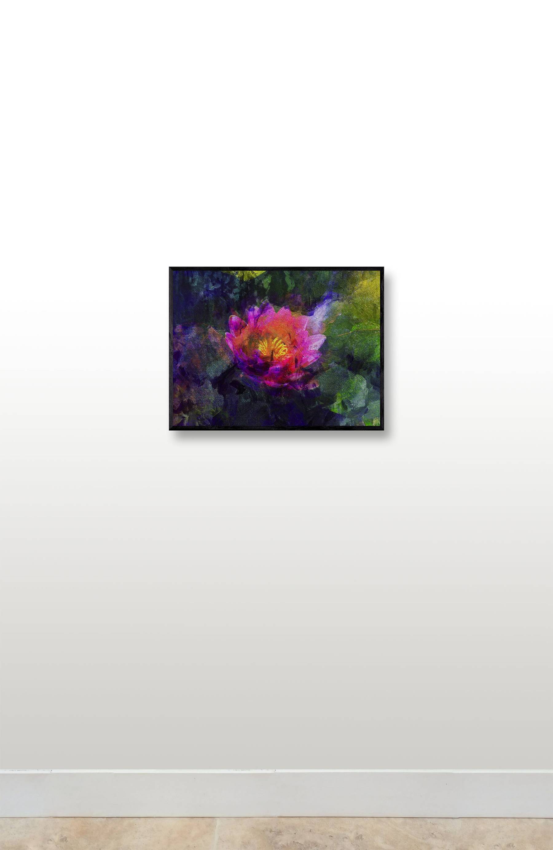 Lotus rose - MARTINEZ Rodolphe