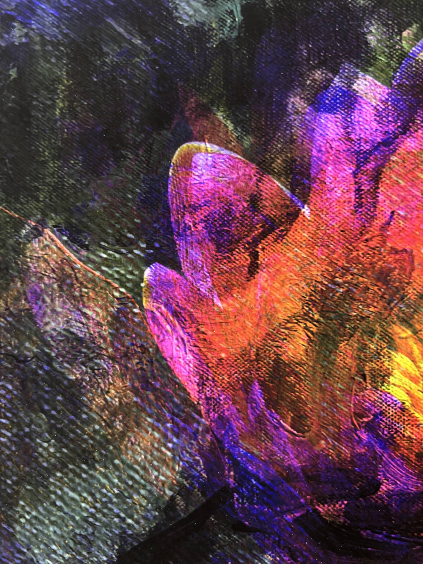 Lotus rose - MARTINEZ Rodolphe